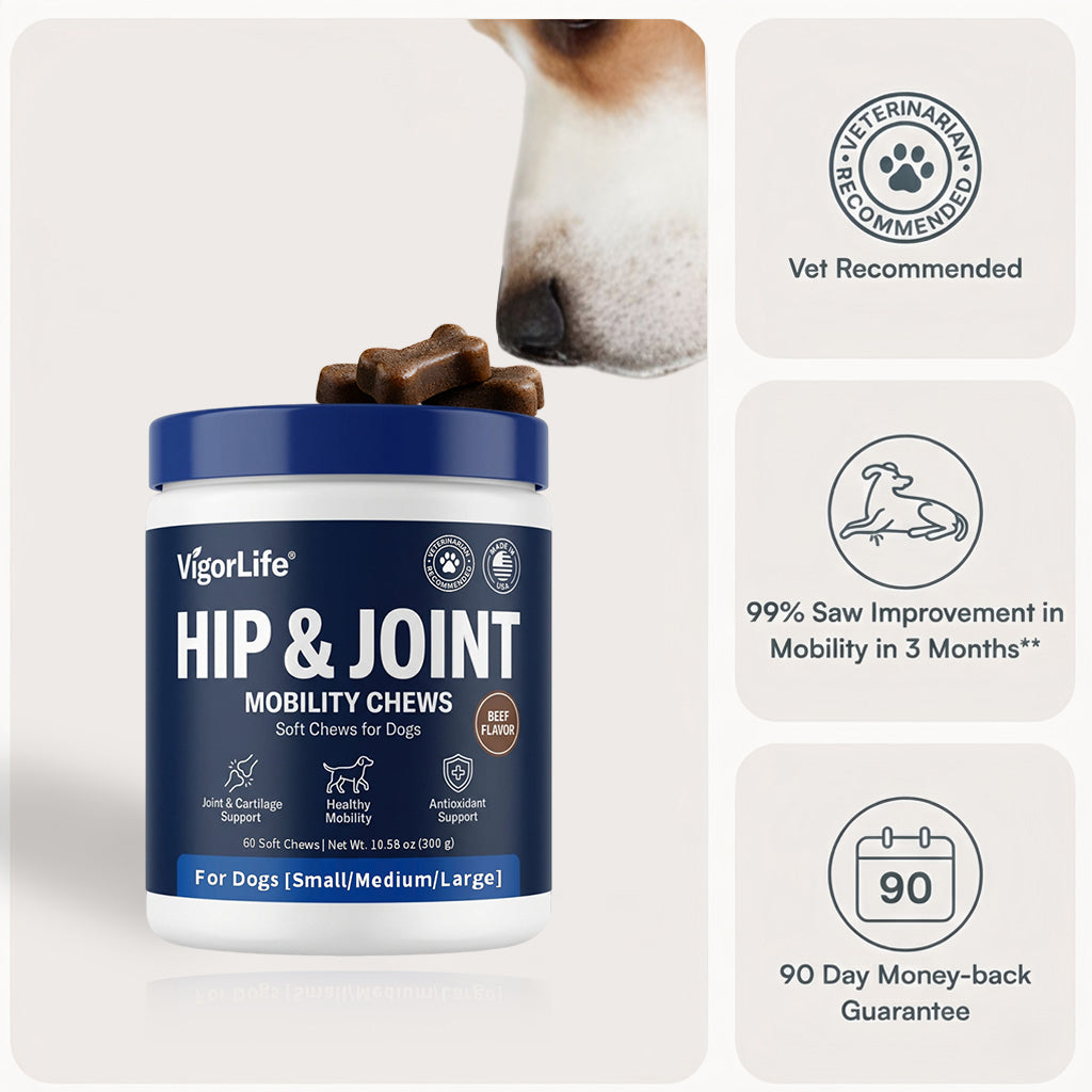 Advanced Hip & Joint Support — Daily Soft Chews for Easier Movement - My Store