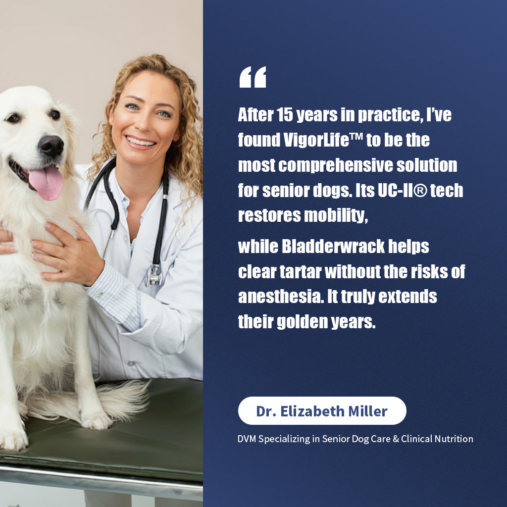 Advanced Hip & Joint Support — Daily Soft Chews for Easier Movement - My Store